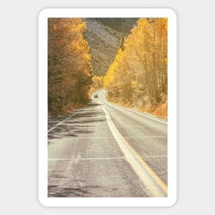 June Lake Road Sticker